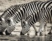 thumb-image-2024-02-29T14:04:55.323Z