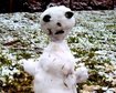thumb-image-2024-02-29T14:04:55.534Z