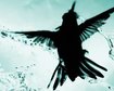 thumb-image-2024-02-29T14:04:55.750Z