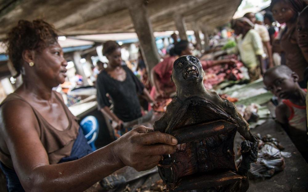 Uma vendedora expõe um macaco junto com outros cortes de carne silvestre em um mercado em Mbandaka, no Congo.