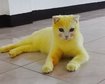 thumb-image-2024-02-29T14:04:56.420Z