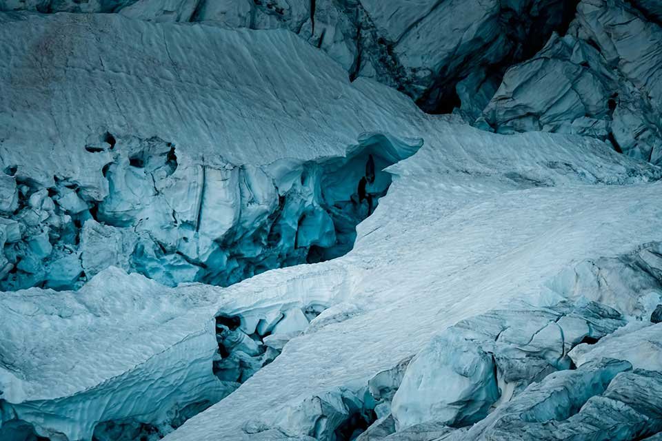 A hibernação é uma forma de resistir ao clima rigorosa da Antártida. (Fonte: Pexels)