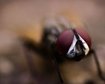 thumb-image-2024-02-29T14:04:57.417Z