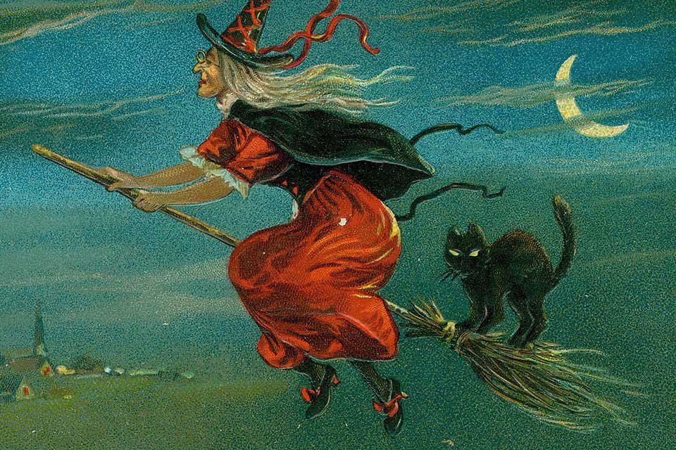 bruxa bonita e coruja voam em uma vassoura e conjuram. ilustração