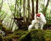 thumb-image-2024-02-29T14:04:57.682Z
