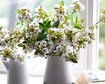 thumb-image-2024-02-29T14:04:57.644Z
