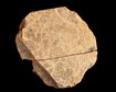 thumb-image-2024-02-29T14:04:57.487Z