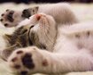 thumb-image-2024-02-29T14:04:57.779Z