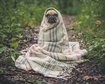 thumb-image-2024-02-29T14:04:58.020Z