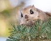 thumb-image-2024-02-29T14:04:58.329Z
