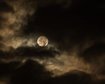 thumb-image-2024-02-29T14:04:59.044Z