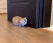thumb-image-2024-02-29T14:04:59.067Z