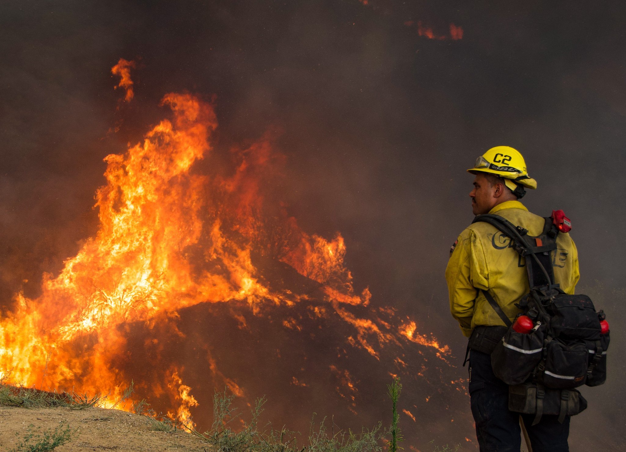Bombeiros no combate ao incêndio de El Dorado Ranch Park. (Fonte: firevalleyphoto/Twitter/Reprodução)