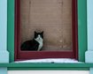 thumb-image-2024-02-29T14:04:59.363Z