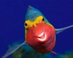 thumb-image-2024-02-29T14:04:59.203Z