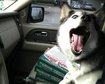 thumb-image-2024-02-29T14:04:59.608Z