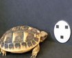 thumb-image-2024-02-29T14:05:00.133Z