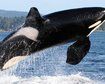 thumb-image-2024-02-29T14:05:00.120Z