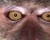thumb-image-2024-02-29T14:05:00.350Z