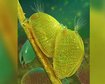 thumb-image-2024-02-29T14:05:00.178Z