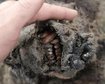 thumb-image-2024-02-29T14:05:00.236Z
