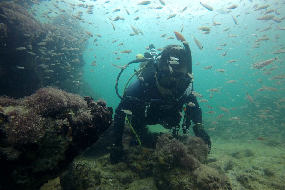Navio naufragado foi encontrado a cerca de sete metros de profundidade.(Fonte: Instituto Nacional de Antropologia e História/Divulgação)