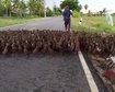 thumb-image-2024-02-29T14:05:00.373Z