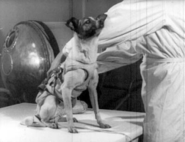 E o Sputnik 2 colocou o primeiro animal em órbita, a cadelinha Laika (Fonte: Mega/Reprodução)