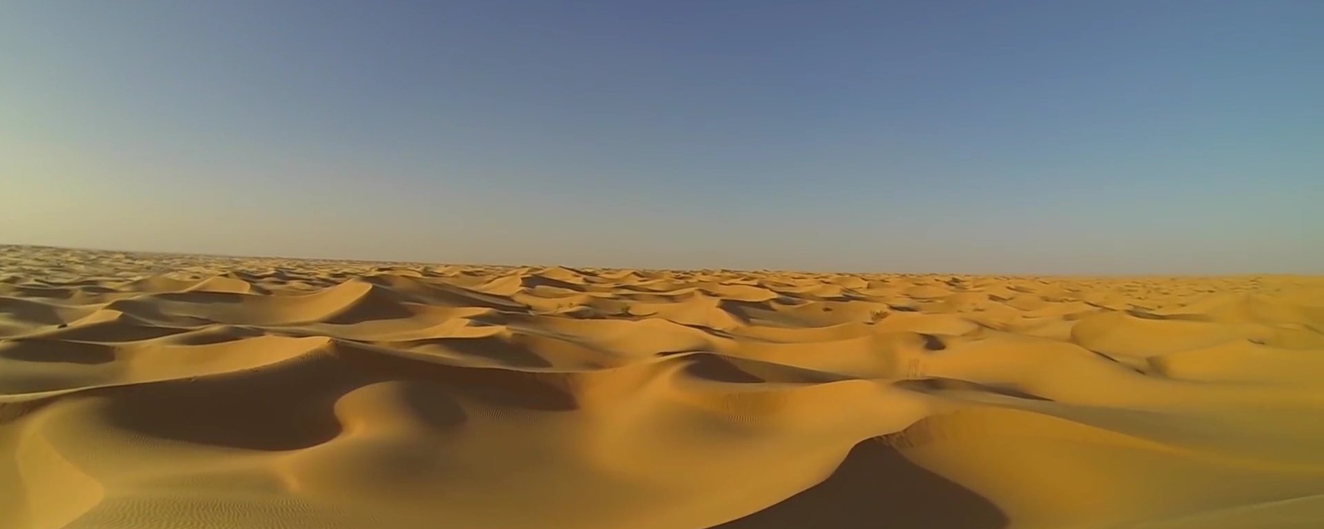 SAARA: O maior deserto do mundo pode ficar cheio de vida novamente