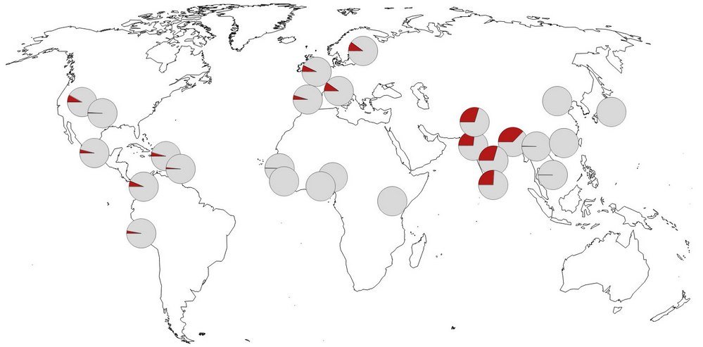 Distribuição e prevalência (gráficos em pizza) das variantes genéticas de Neandertal.