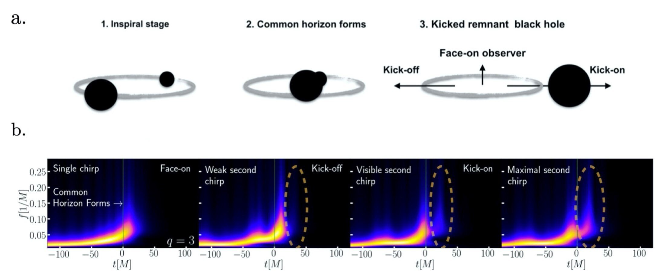 Buracos negros resultantes de colisões de outros geram mais que uma única onda gravitacional.