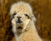 thumb-image-2024-02-29T14:05:03.892Z