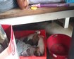 thumb-image-2024-02-29T14:05:03.822Z