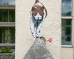 thumb-image-2024-02-29T14:05:04.428Z