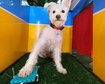 thumb-image-2024-02-29T14:05:05.404Z