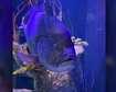 thumb-image-2024-02-29T14:05:05.904Z