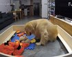 thumb-image-2024-02-29T14:05:06.065Z