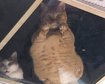 thumb-image-2024-02-29T14:05:06.034Z