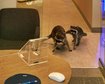 thumb-image-2024-02-29T14:05:06.118Z