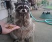 thumb-image-2024-02-29T14:05:07.040Z