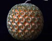 thumb-image-2024-02-29T14:05:06.862Z