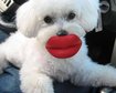 thumb-image-2024-02-29T14:05:07.829Z