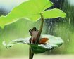thumb-image-2024-02-29T14:05:07.332Z