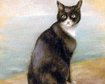 thumb-image-2024-02-29T14:05:07.994Z