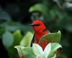 thumb-image-2024-02-29T14:05:08.081Z