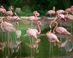 thumb-image-2024-02-29T14:05:08.447Z