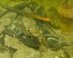 thumb-image-2024-02-29T14:05:08.763Z