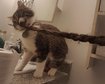 thumb-image-2024-02-29T14:05:09.016Z