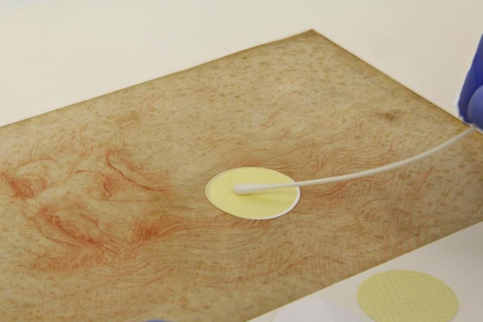 Imagem de Bactérias e fungos em obras de Da Vinci têm muito a contar no megacurioso