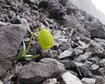 thumb-image-2024-02-29T14:05:09.265Z